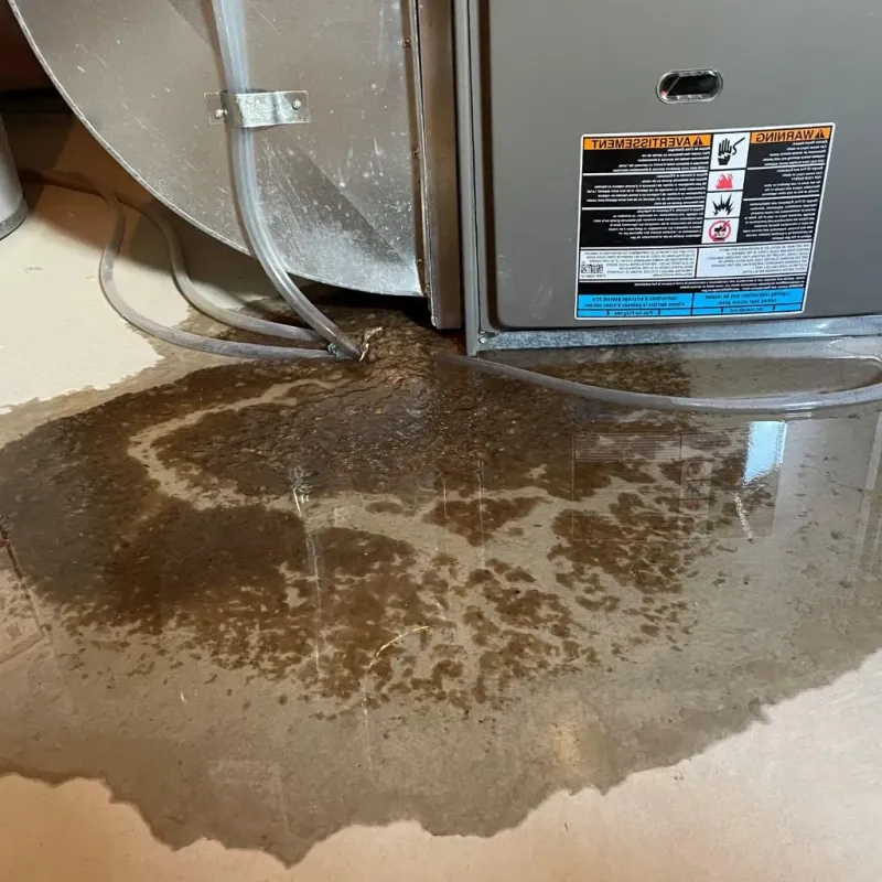 Pipe Burst and Leak Restoration in Harrison County, IN