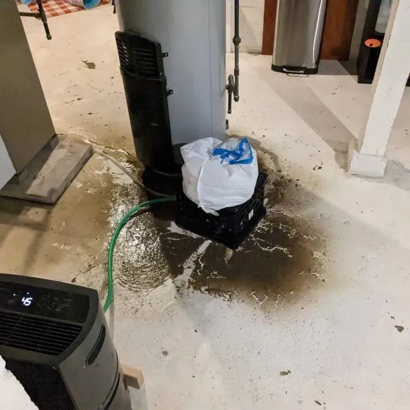 Sewage Backup Cleanup Service in Harrison County, IN